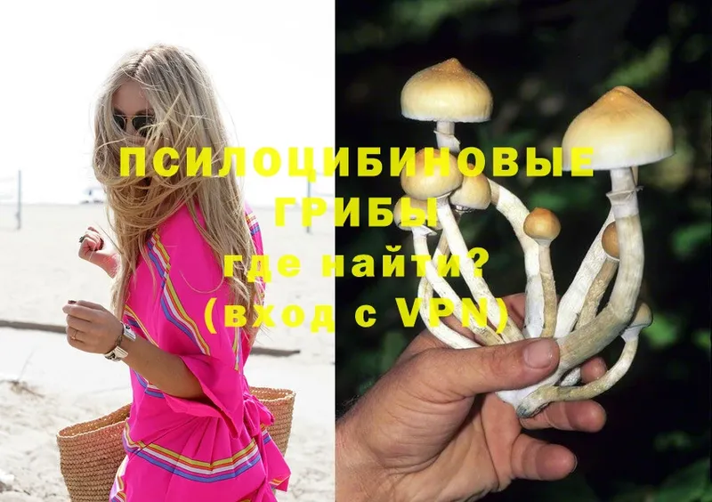 Галлюциногенные грибы MAGIC MUSHROOMS  кракен рабочий сайт  Крымск 